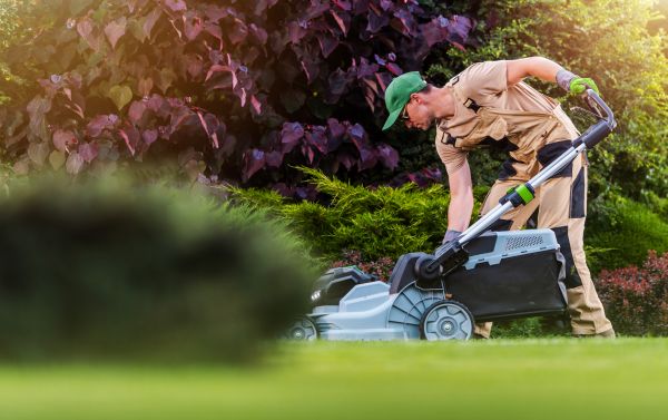 Lawn Care And Maintenance in Stone Mountain