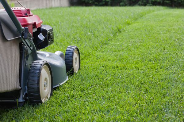 Lawn Care Service in Stone Mountain