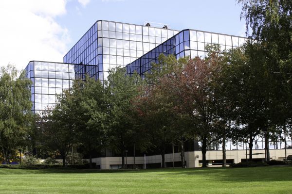 Commercial Lawn Service in Stone Mountain