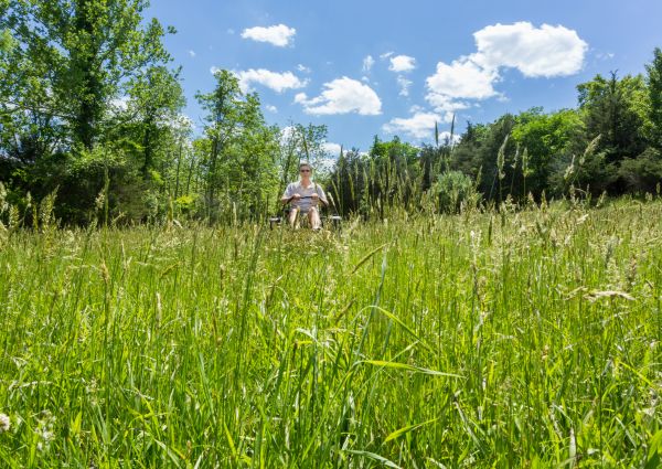 Cost of Long Grass Mowing in Stone Mountain
