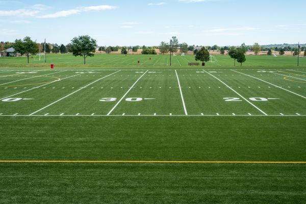 Groundskeeping Service in Stone Mountain