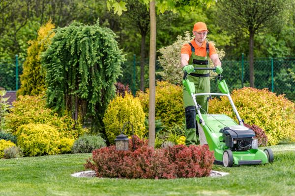 Commercial Yard Maintenance in Stone Mountain