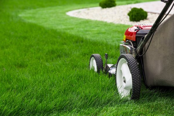 Cost of Weekly Mowing in Stone Mountain