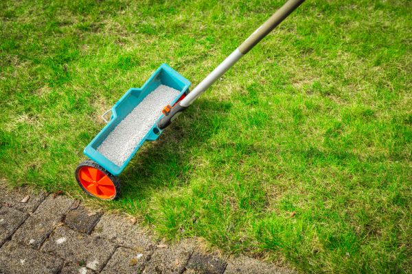 Commercial Lawn Treatment in Stone Mountain