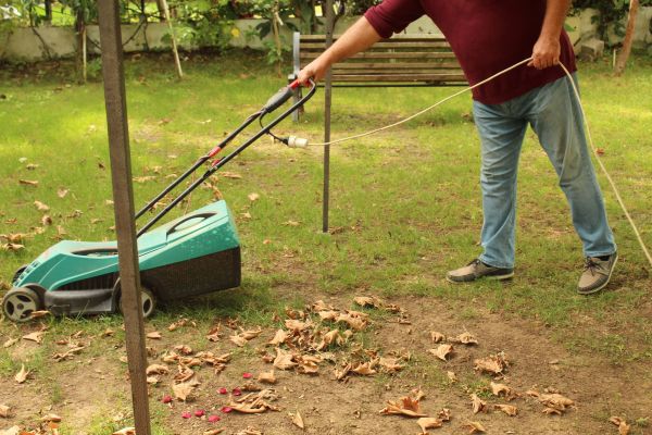 Cost of Leaves Mowing in Stone Mountain