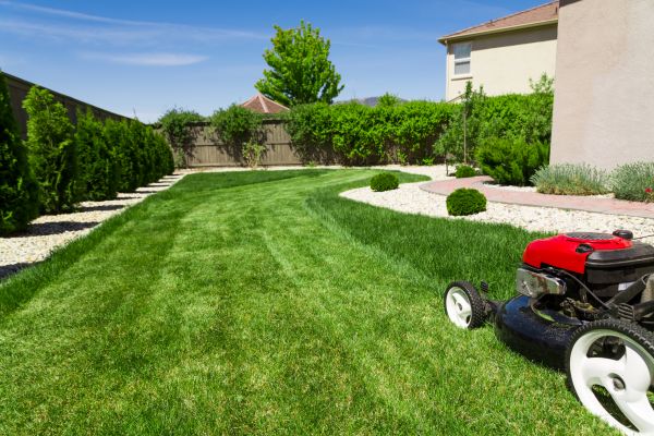 Cost of Residential Lawn Mowing in Stone Mountain