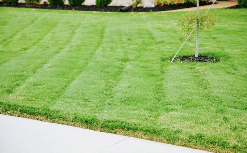 Business Grass Cutting