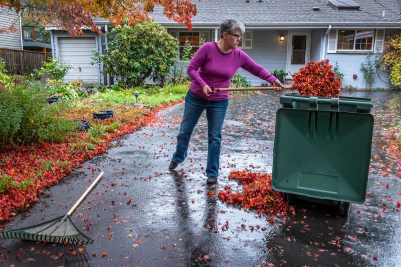 Leaves Being Raked