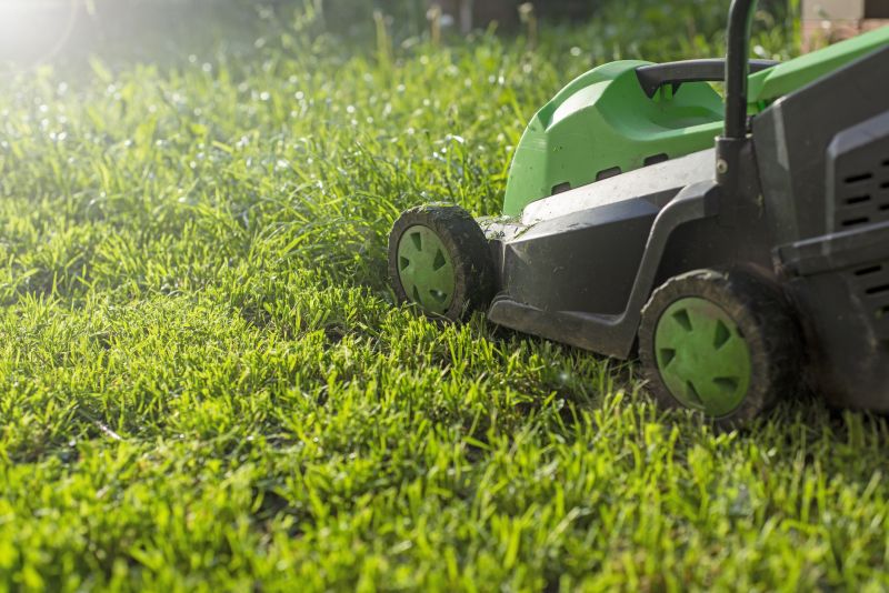Routine Lawn Maintenance