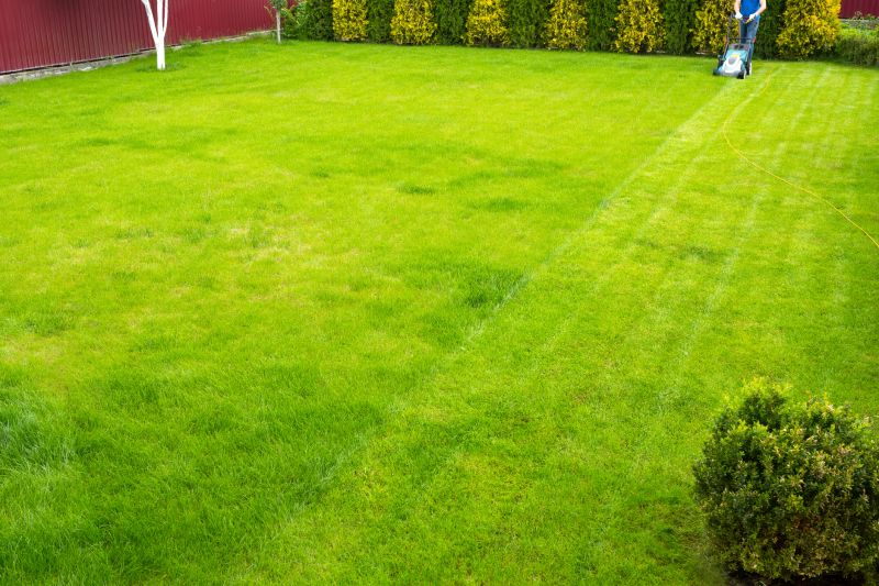 Reliable Service for Your Lawn