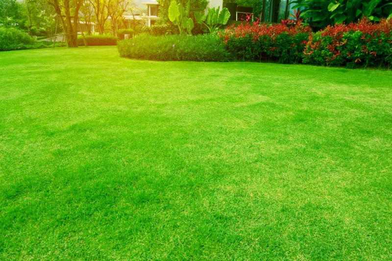 Customized Lawn Maintenance Plans