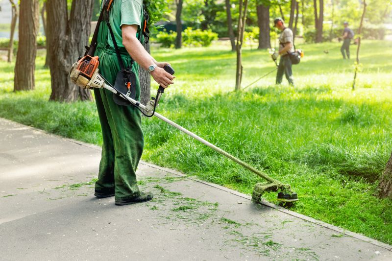 Comprehensive Lawn Maintenance